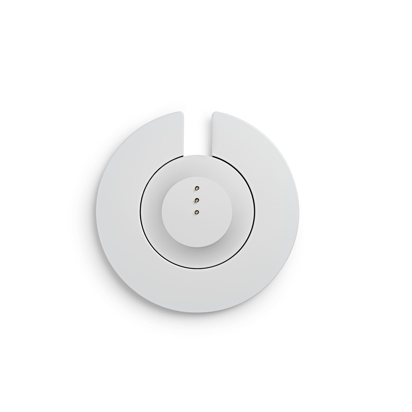 Cargador Portable Home Speaker Plateado Cargador Portable Home Speaker Plateado