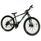 Bicicleta AKTIVE Kala Verde/Gris 29
